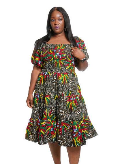 Omoni Shirred Dress